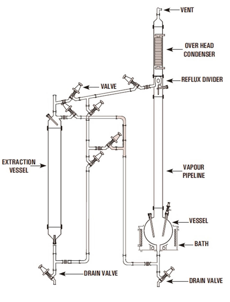 Extraction Process